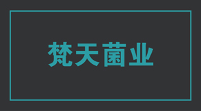 食品行业滁州工作服设计款式